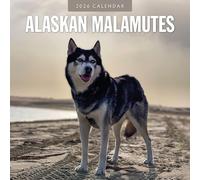 Alaskan Malamutes - 2026 Square Wall Calendar - by Red Robin Publishing