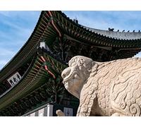 Alaskan Sea Monster & Mystery Jungle Jet