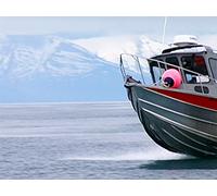 Alaska's Deep Creek Lodge- The Angler's Paradise