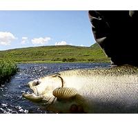 Alaska's Deep Creek Lodge- The Angler's Paradise | Part 2