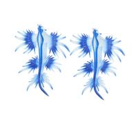 Alasum 2pcs Animal Figures Soft Plastic Sea Slug Shape Ornaments Simulated Ocean Creatures for Desktop Decoration Educational Stem