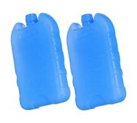 Alasum 2pcs Ice Package for Cooler Reusable Ice Packs Blue Pe Material Versatile Use Cooling Preservation for Fan and Cooler