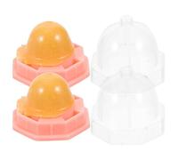 Alasum 2pcs Vitamin Catnip Licking Chew for Cats and Kittens, Edible Catmint Ball Candy with Natural Catnip, Orange Pack Cat Treats for Indoor Play and Enrichment