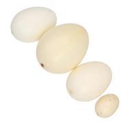 Alasum 4pcs Bird Egg Simulation for Assorted Color Speckled Eggs Including Quail Pheasant Hen Goose Models Lightweight Educational Play and Painting Practice