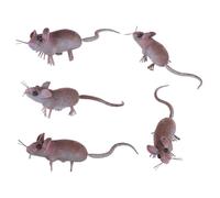 Alasum 5pcs Realistic Mini Mouse Figurines Micro-Landscape Animal Models Rubber Fake Rat Toy Simulation Mice Decor for Garden Home Office