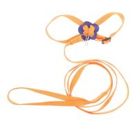 Alasum Adjustable Nylon Small Pets Leash Rope with Training Harness for Chameleons and Small Animals, Light and Stable Performance Outdoor Reptile Lizard Harness for Baby Pets