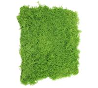Alasum Artificial Moss Mat for Term Use Light Green Epe Foam with Realistic Texture Sturdy Fake Moss Turf for Party Photo Props and Landscape Decoration for Garden