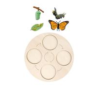 Alasum Butterfly Life Cycle Model for Realistic Abs Animal Cycle Figures for Preschool Boys and Safe Learning Tool for Nature Exploration