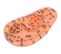 Alasum Ear Model Reflexology Chinese Medicine Acupuncture Model for Education and Clinical Practice, PVC Material Practical Application for Massage and Acupuncture