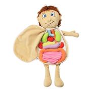 Alasum Educational Organ Plush Puzzle Soft Body Organ Awareness Doll for Boys Early Learning Anatomy Tool for Fine Motor Skills and Interaction