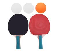 Alasum Interactive Table Tennis Paddle with Non-skid Handles Lightweight Double-sided Rackets and Balls for Adults Indoor Outdoor Pong Training Kit