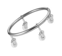 Alasum Movable Propane Tank Holder Secure and Sturdy Gas Tank Base with Wheels, Stainless Steel Cylinder Bracket to 30 Grams for Gas Cylinders Suitable for Home and Restaurant Use