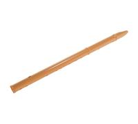 Alasum Resin Recorder Soprano Recorder for Students Portable Woodwind Instrument Detachable Flute for Beginner Practice Flat Mouthpiece Design for Music Class
