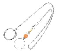 Alasum Stainless Steel Parrot Collar Chain for Birds, Comfortable and Lightweight Bird Training Neck Ring with Pendant and Bells, for Parrot Traction and Flying Training Random Color