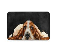 ALAZA Dog Breed Basset Hound Doormat Non Slip Floor Mat Indoor Outdoor Entrance Bedroom Dorm Door Mat Home Decor 23.6x15.7 Inches