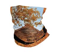 Albany Covered Bridge Print Winter Neck Gaiter Warmer, Soft Face Mask Scarf For Cold Weather Skiing Cycling Outdoor Sports