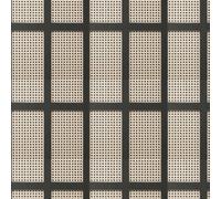 Albany Wallpaper Cane Panel FD42998