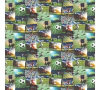 Albany Wallpaper Football Collage FD41915