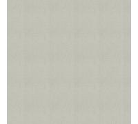 Albany Wallpaper Textured Glitter Plain M95602