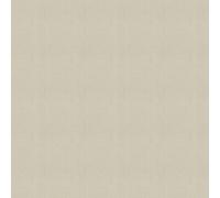 Albany Wallpaper Textured Glitter Plain M95603