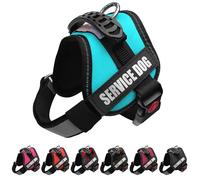 ALBCORP Reflective Service Dog Vest Harness - No-Pull Harness with Handle & Comfy Mesh Padding - Available in Sizes XXS-XL- with 2 Removable Hook & Loop Service Dog Patches, XXS, Blue