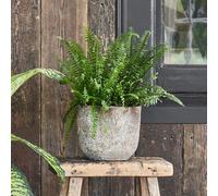 Albero Planter, H26cm x D28cm Ivyline Natural One Size