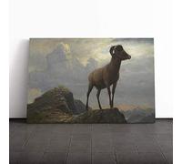 Albert Bierstadt Study of a Bighorn Ram Canvas Print | Gallery Wrapped 30mm Frame Wall Art | 20x14 inches | Ready to Hang | Modern Picture | Living Room Bedroom Lounge Office