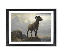 Albert Bierstadt Study of a Bighorn Ram Classic Painting Framed Print | A2 Black Framed Wall Art | Ready to Hang | Classic Historical Picture | Living Room Bedroom Lounge Office