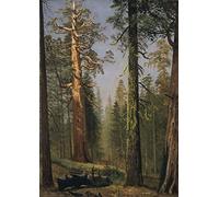 Albert Bierstadt - The Grizzly Giant Sequoia, vintage art, 12x8" (A4) Reproduction Poster Print