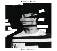 Albert Hammond Jr. Momentary Masters (Vinyl)