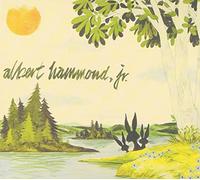 Albert Hammond Jr - Yours to Keep