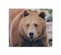 Alberta Grizzly Bear Men Wallet Leather Bifold Wallets with Window Slim Minimalist Front Pocket