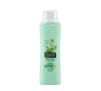 Alberto Balsam Herbal Shampoo 350ml Tea Tree Tingle Healthy Hair & Scalp 6 Pack