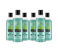 Alberto Balsam Shampoo Tea Tree Tingle 350ml x6