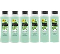 Alberto Balsam Tea Tree Conditioner 350ML (Case of 6)