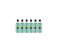 Alberto Balsam Tea Tree Tingle Hair Shampoo 300ML - Pack of 6