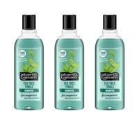 Alberto balsam Tea Tree Tingle Shampoo, with Pro-Vitamin B5, 24HR Fragrance, Suitable for All Hair Types, 300ml - Pack of 3