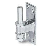 Alberts 311131 Hook for screwing on | Adjustable | electrogalvanised, Thick-Layer-passivated | Backset Ø13 mm | Plate 100 x 40 mm