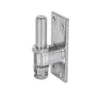 Alberts 311148 Hook for screwing on | Adjustable | electrogalvanised, Thick-Layer-passivated | Backset Ø16 mm | Plate 100 x 40 mm