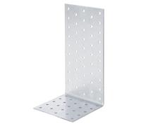 Alberts 820602 Perforated Plate Angle | sendzimir galvanised | 100 x 200 x 100 mm | Set of 10