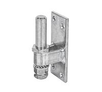 Alberts 858698 Hook for screwing on | Adjustable | electrogalvanised, Thick-Layer-passivated | Backset Ø16 mm | Plate 100 x 40 mm | Set of 10