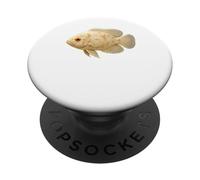 Albino Oscar Fish Realistic Aquatic Art for Exotic Fish Fans PopSockets Adhesive PopGrip