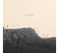 Albinobrothers - Goliath Awakes [VINYL]