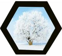 Alblinsy Hexagon Shaped Photo Frame - 12 Inch Wooden Wall Hanging Picture Frames for Home Office Decor, Simplicity Gallery Artificial Board With Seamless Nail (Black)