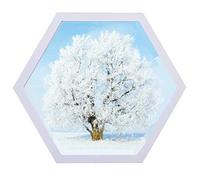 Alblinsy Hexagon Shaped Photo Frame Wooden Wall Hanging Picture Frames for Home Office Decor, Simplicity Gallery Artificial Board Photo Frames with Seamless Nail (8 Inch, White)