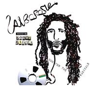 Alborosie - Alborosie Meets Roots Radics - Dub For The Radicals