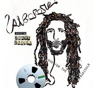 Alborosie - Alborosie Meets Roots Radics Dub For The Radicals feat
