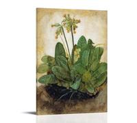 Albrecht Dürer Artwork Classic Posters Tuft of Cowslips, 1526 Canvas Wall Art Prints Photo Picture Paintings Room Decor Home Decorative 16x24inch(40x60cm)