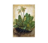 Albrecht Dürer Artwork Classic Posters Tuft of Cowslips, 1526 Picture Print Canvas Wall Paint Arts Decor Modern Home Artworks Idea 08x12inch(20x30cm)