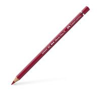 Albrecht Durer Coloured Pencil 225